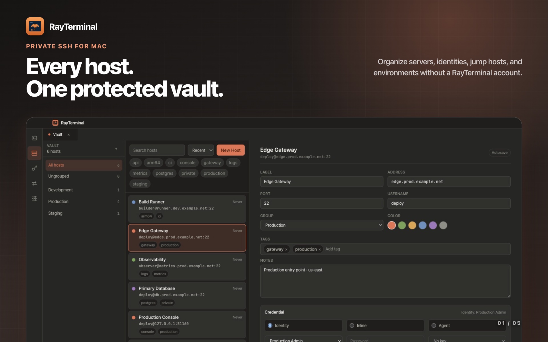RayTerminal's vault: hosts grouped and tagged on the left, the selected host's address, credentials, and notes on the right.